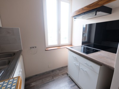 APPARTEMENT T3 A LOUER - ST ETIENNE FAURIEL - 57.08 m2 - 510 € charges comprises par mois