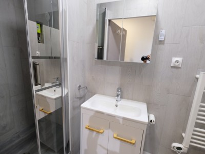 APPARTEMENT T3 A LOUER - ST ETIENNE FAURIEL - 57.08 m2 - 510 € charges comprises par mois