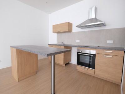 APPARTEMENT T3 - ST ETIENNE hyper centre - 97,57 m2 - 618 € charges comprises par mois