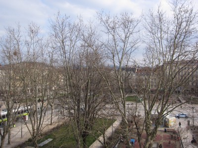 APPARTEMENT T3 A LOUER - ST ETIENNE HYPER CENTRE - 97.47 m2 - 715 € charges comprises par mois