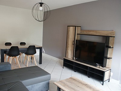 APPARTEMENT T3 A LOUER - ST ETIENNE LA MTARE - 78.33 m2 - 720€ charges comprises par mois