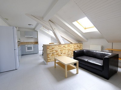 APPARTEMENT T3 A LOUER - ST ETIENNE MONTPLAISIR - 67 m2 - 520�&euro; charges comprises par mois