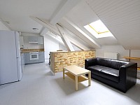APPARTEMENT T3 A LOUER - ST ETIENNE MONTPLAISIR - 67 m2 - 520 &euro; charges comprises par mois