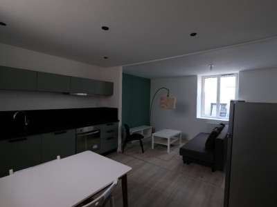 APPARTEMENT T3 A LOUER - ST ETIENNE MONTPLAISIR - 61.94 m2 - 540€ charges comprises par mois
