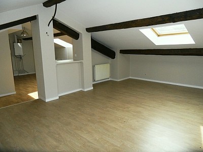 APPARTEMENT T3 A LOUER - ST ETIENNE PREFECTURE - 63.06 m2 - 440€ charges comprises par mois