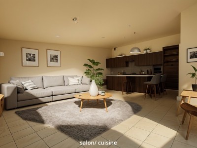 APPARTEMENT T3 A VENDRE - ANDREZIEUX BOUTHEON - 65.03 m2 - 159000€