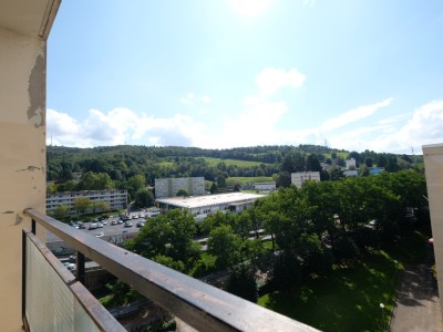 APPARTEMENT T3 A VENDRE - ST ETIENNE BELLEVUE - 54.79 m2 - 65000€