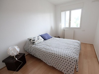 APPARTEMENT T7 A LOUER - ST ETIENNE FAURIEL - 150 m2 - 1065 € charges comprises par mois
