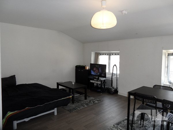 APPARTEMENT T1 A LOUER - ST ETIENNE CENTRE VILLE - 31,48 m2 - 350 € charges comprises par mois