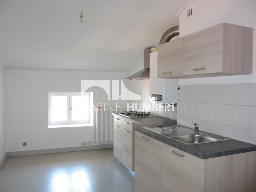 APPARTEMENT T1 A LOUER - ST ETIENNE CENTRE VILLE - 45.18 m2 - 375 € charges comprises par mois