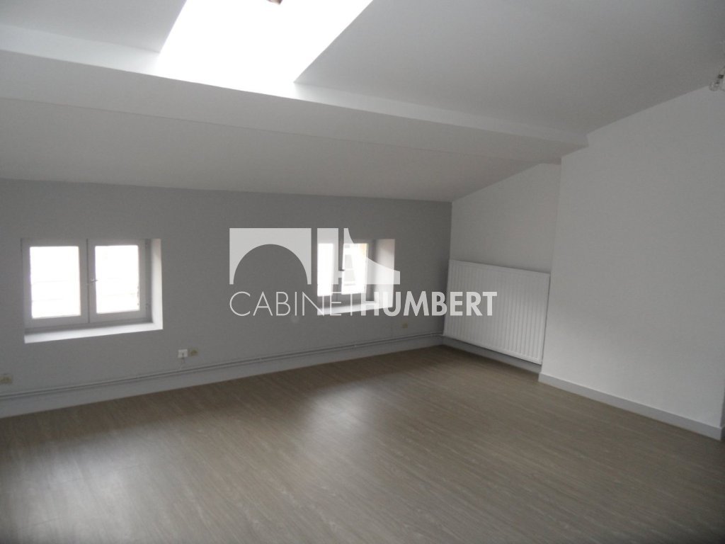 APPARTEMENT T1 A LOUER - ST ETIENNE CENTRE VILLE - 45.18 m2 - 375 € charges comprises par mois