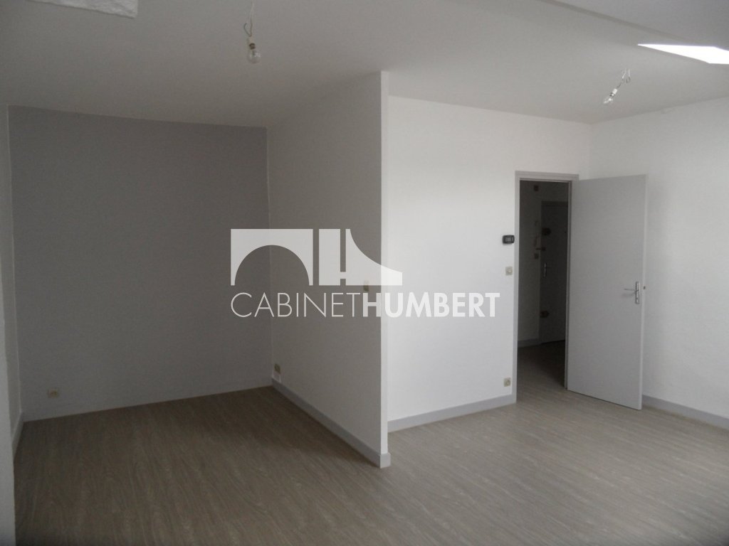 APPARTEMENT T1 A LOUER - ST ETIENNE CENTRE VILLE - 45.18 m2 - 375 € charges comprises par mois