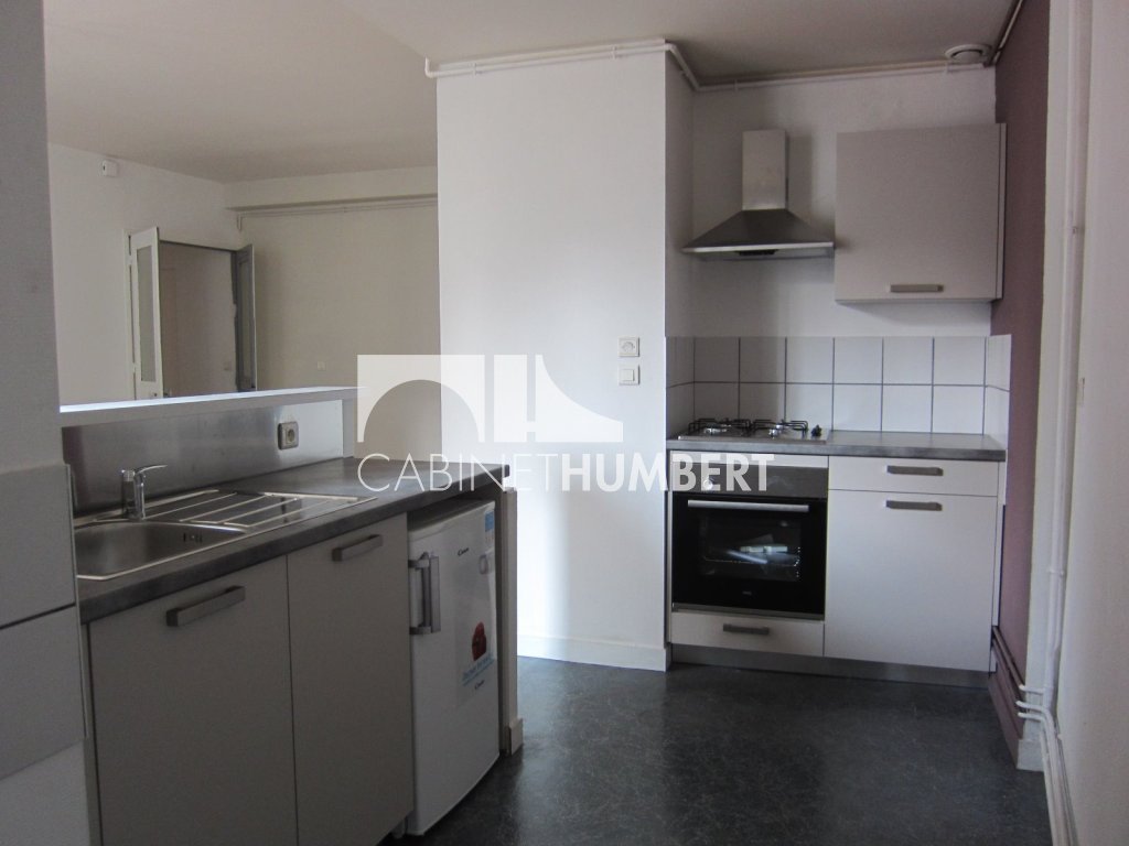 APPARTEMENT T2 A LOUER - ST ETIENNE CENTRE VILLE - 62.44 m2 - 465€ charges comprises par mois