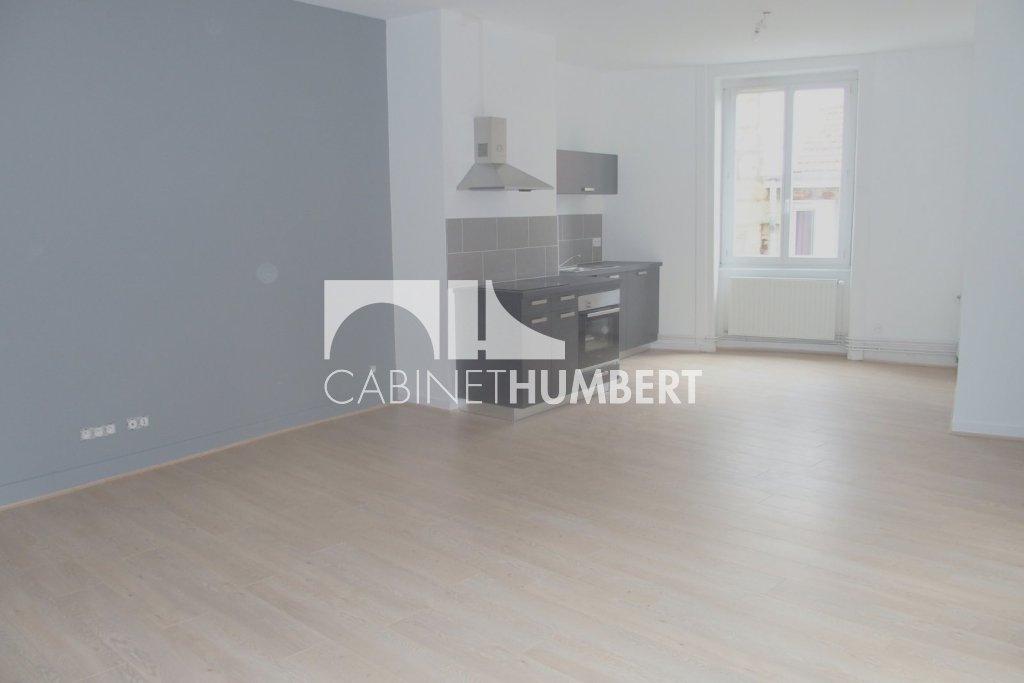 APPARTEMENT T2 A LOUER - ST ETIENNE CENTRE VILLE - 65.3 m2 - 525€ charges comprises par mois