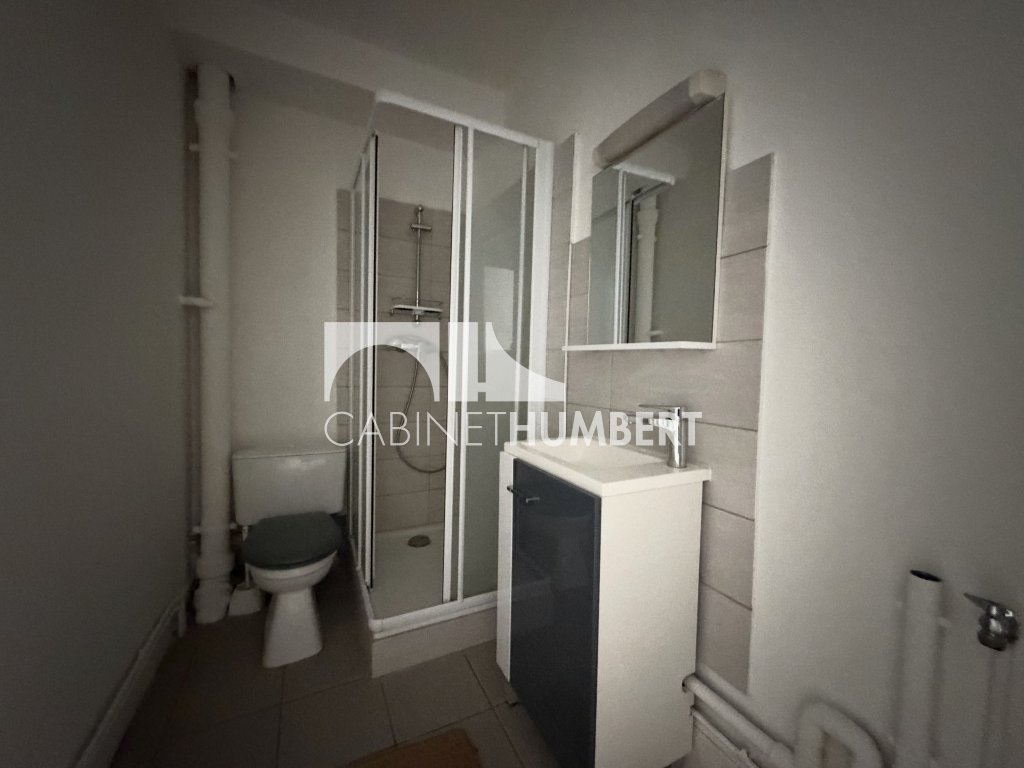 APPARTEMENT T2 A VENDRE - ST ETIENNE FAURIEL - 52.33 m2 - 60 000 &euro;