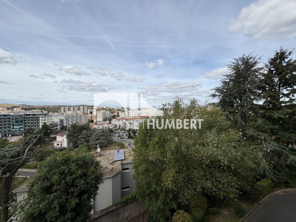 APPARTEMENT T2 A VENDRE - ST ETIENNE LA RIVIERE - 53 m2 - 51 000 &euro;