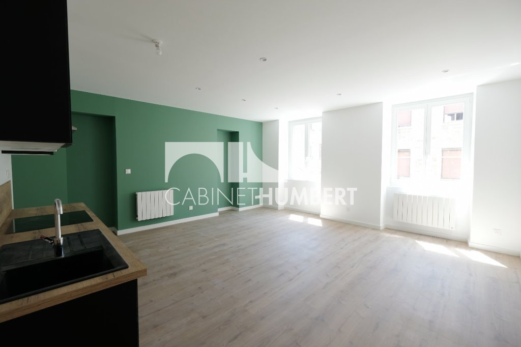 APPARTEMENT T3 A LOUER - ST ETIENNE CENTRE VILLE - 77.21 m2 - 740 € charges comprises par mois