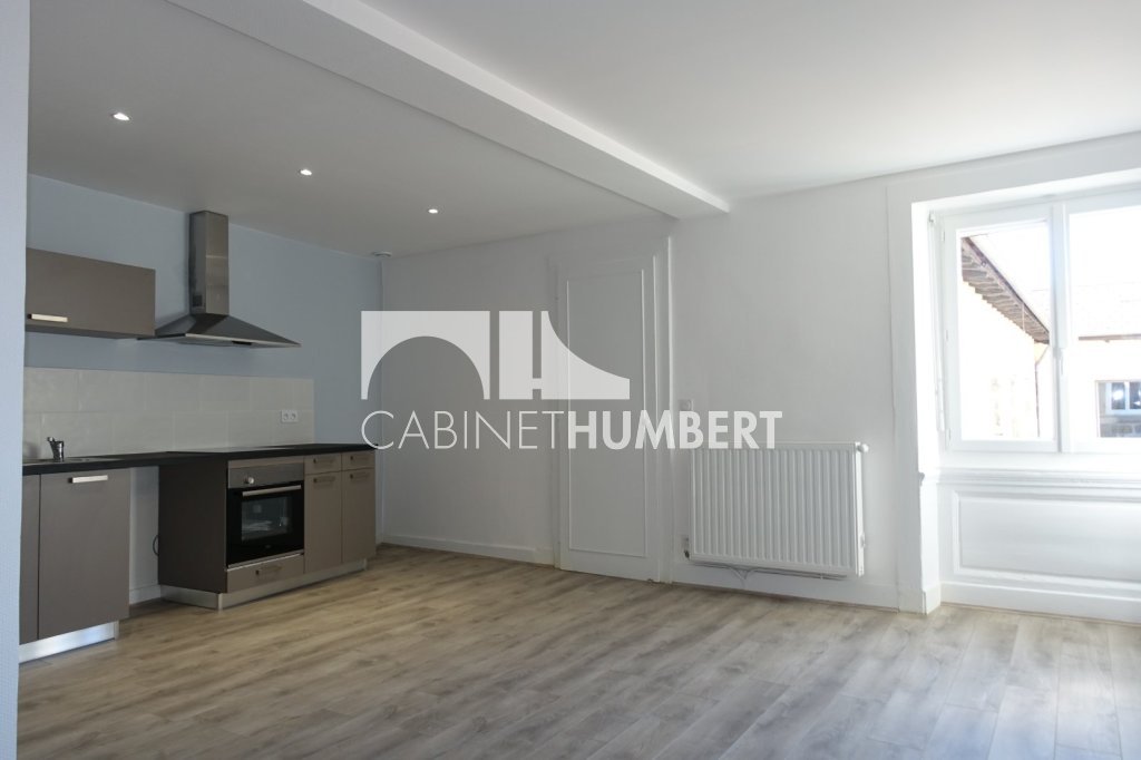 APPARTEMENT T3 A LOUER - ST ETIENNE CENTRE VILLE - 73.4 m2 - 610 &euro; charges comprises par mois