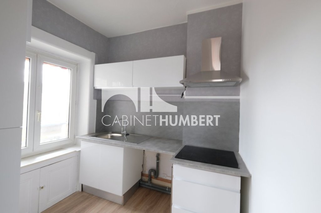 APPARTEMENT T3 A LOUER - ST ETIENNE CENTRE VILLE - 57.5 m2 - 600 € charges comprises par mois