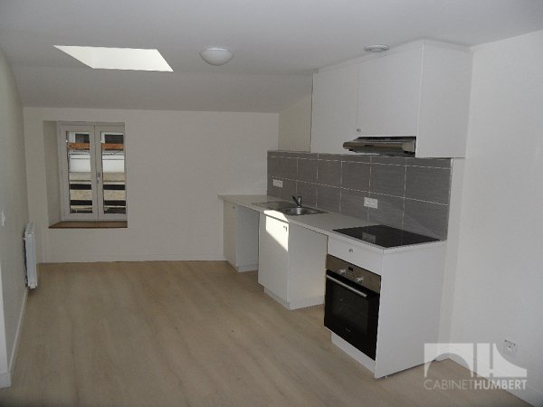 APPARTEMENT T3 A LOUER - ST ETIENNE CENTRE VILLE - 51,16 m2 - 460 € charges comprises par mois
