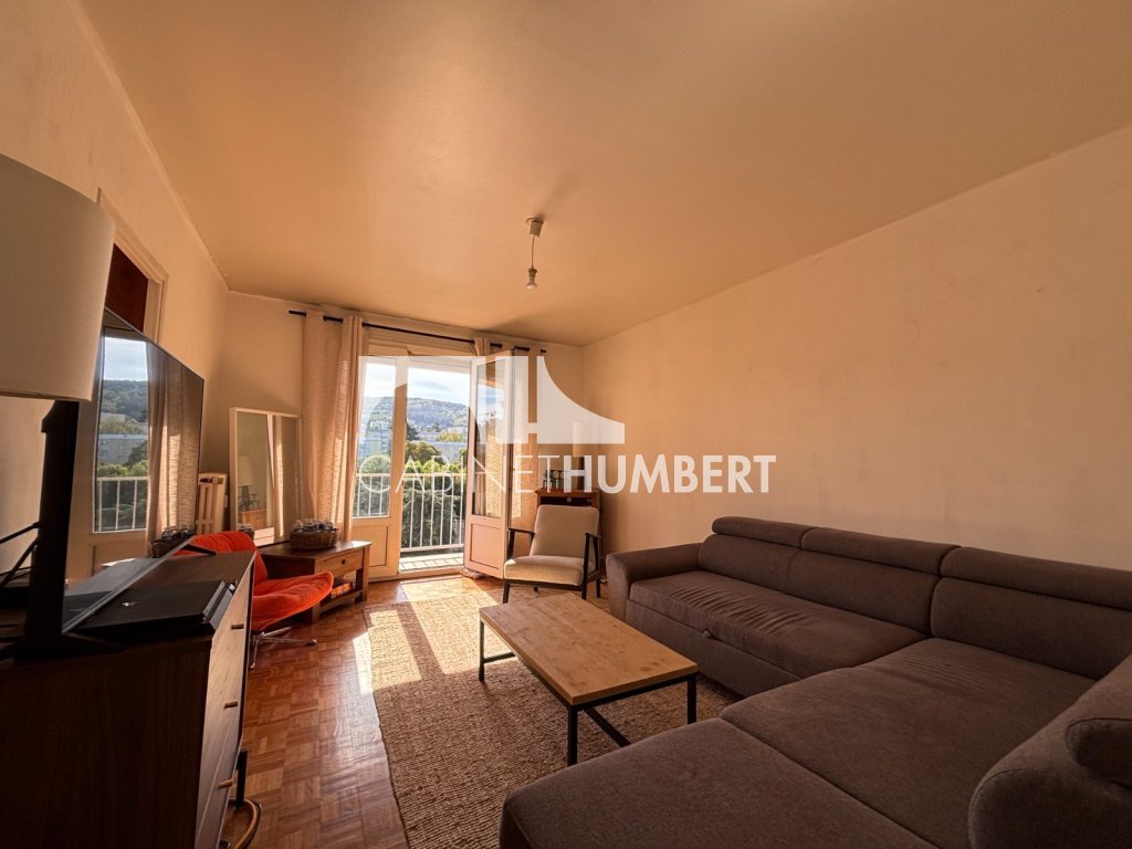 APPARTEMENT T3 A VENDRE - ST ETIENNE FAURIEL - 62.9 m2 - 62 000 &euro;