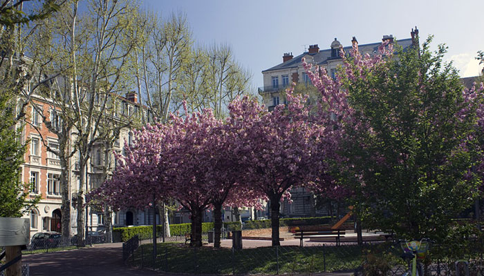 Parc du Pilat - Saint Etienne